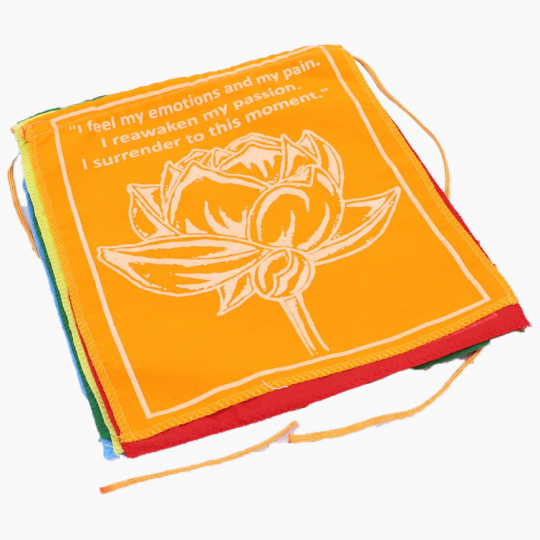 Healing-Prayer-Flags