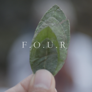 FOUR DOCUMENTARY